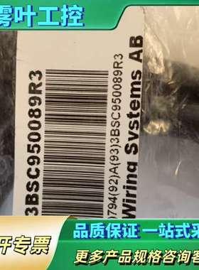ABB模块拓展线3BSC950089R3【议价】