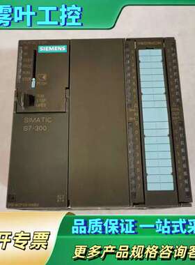 CPU313C-2DP 6ES7 313-6CF03-【议价】