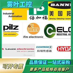 议价 正品 RG2AA FDU91 德国恩德斯豪斯E