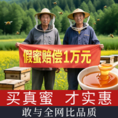 纯正深山土蜂蜜天然自产正品 旗舰店百花结晶野生正宗洋槐枣花蜂蜜