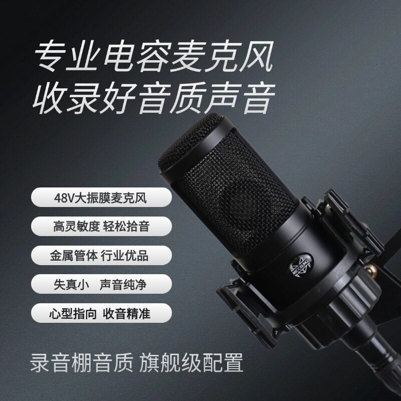 MICCEILING306电容麦克风话筒48伏全套主播直播录音棚高端专业级