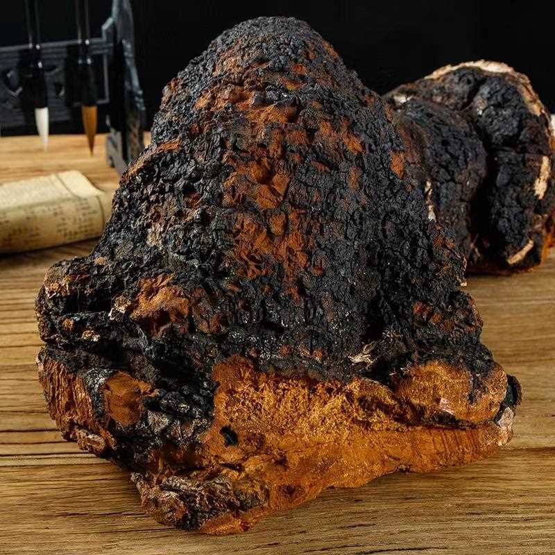 桦树茸东北长白山野外生长白桦树茸桦褐孔菌颗粒泡水打粉大量