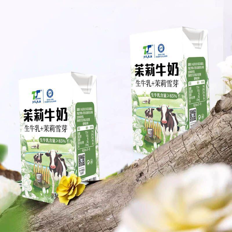 新货天太茉莉牛奶生牛乳+茉莉雪芽儿童成人早餐奶250ml*6盒