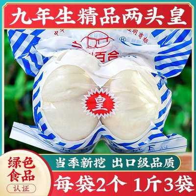 兰州鲜甜百合500g新挖百合新鲜食用甘肃非干货生白合干特产级包邮