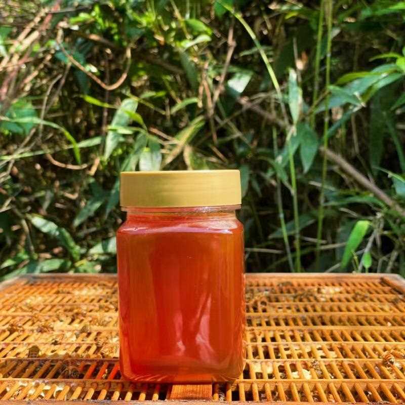 土蜂蜜500g散装洋槐蜂蜜农家纯正鸭脚木蜂蜜 荆条蜂蜜龙眼蜜
