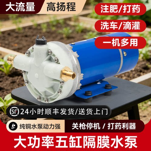电动喷雾器农用高压泵12V48V60V220V5缸隔膜泵喷雾打药机洗车抽水