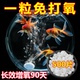 家用增氧颗粒增氧片罐罐鱼泡泡鱼小金鱼增氧片无需打氧机不插电