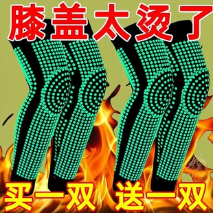 艾草自发热护膝保暖老寒腿老年保护关节男女款 士长袜膝盖运动护具