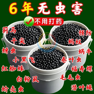 清病菌颗粒撒施型防病害瓜果蔬菜大田作物通用颗粒剂ZN