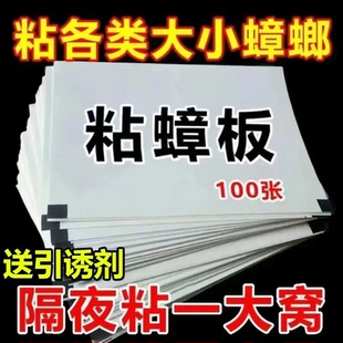 蟑螂粘板强力粘虫板家用室内无厨房粘贴板灭蟑螂家用蟑螂一窝端