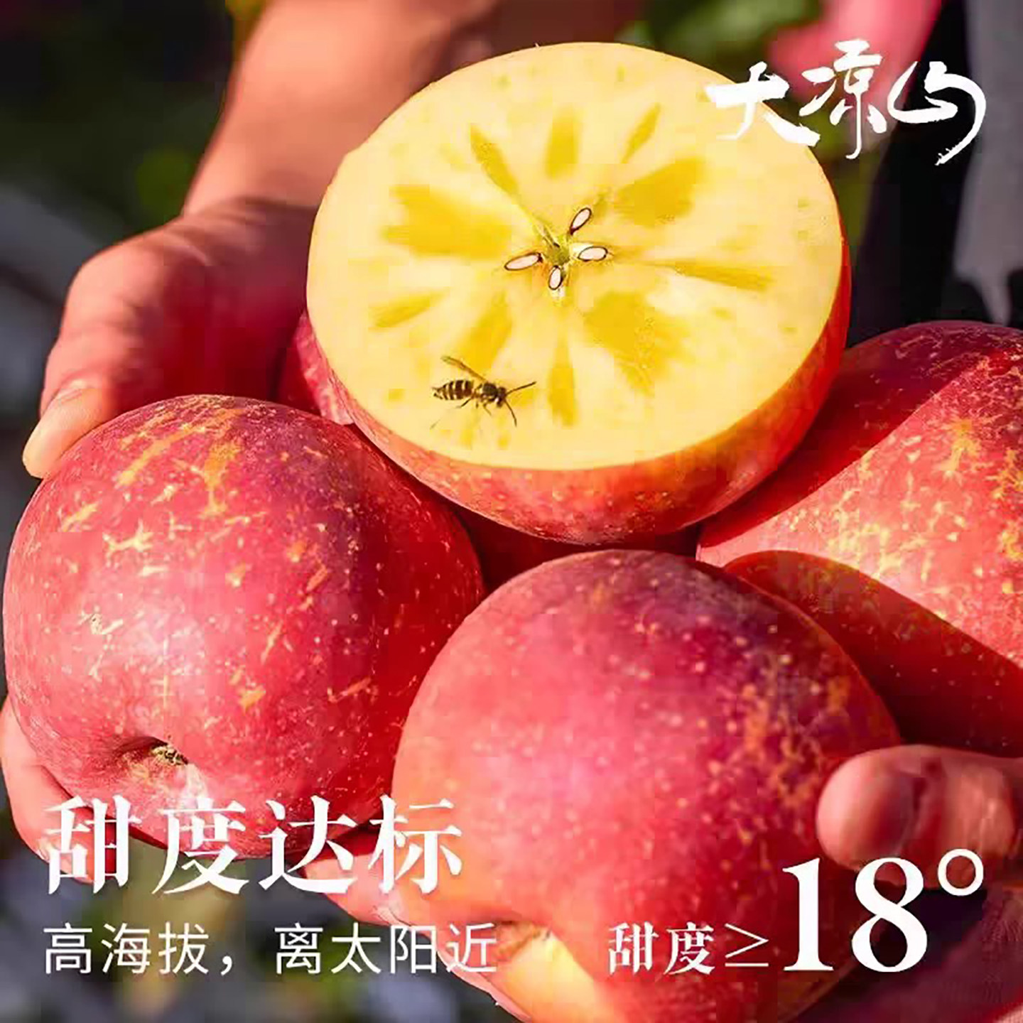 正宗丑苹果冰糖心大凉山盐源新鲜孕妇水果10斤整箱包邮脆甜红富士,水产肉类/新鲜蔬果/熟食,苹果,淘宝优惠券,粉丝福利购,淘宝优惠卷