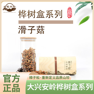 东北桦树皮盒滑子菇北极仙珍有机