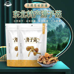 东北滑子菇干货特菌蘑无根级非野生小鸡炖特产嫩山珍营养美味188g