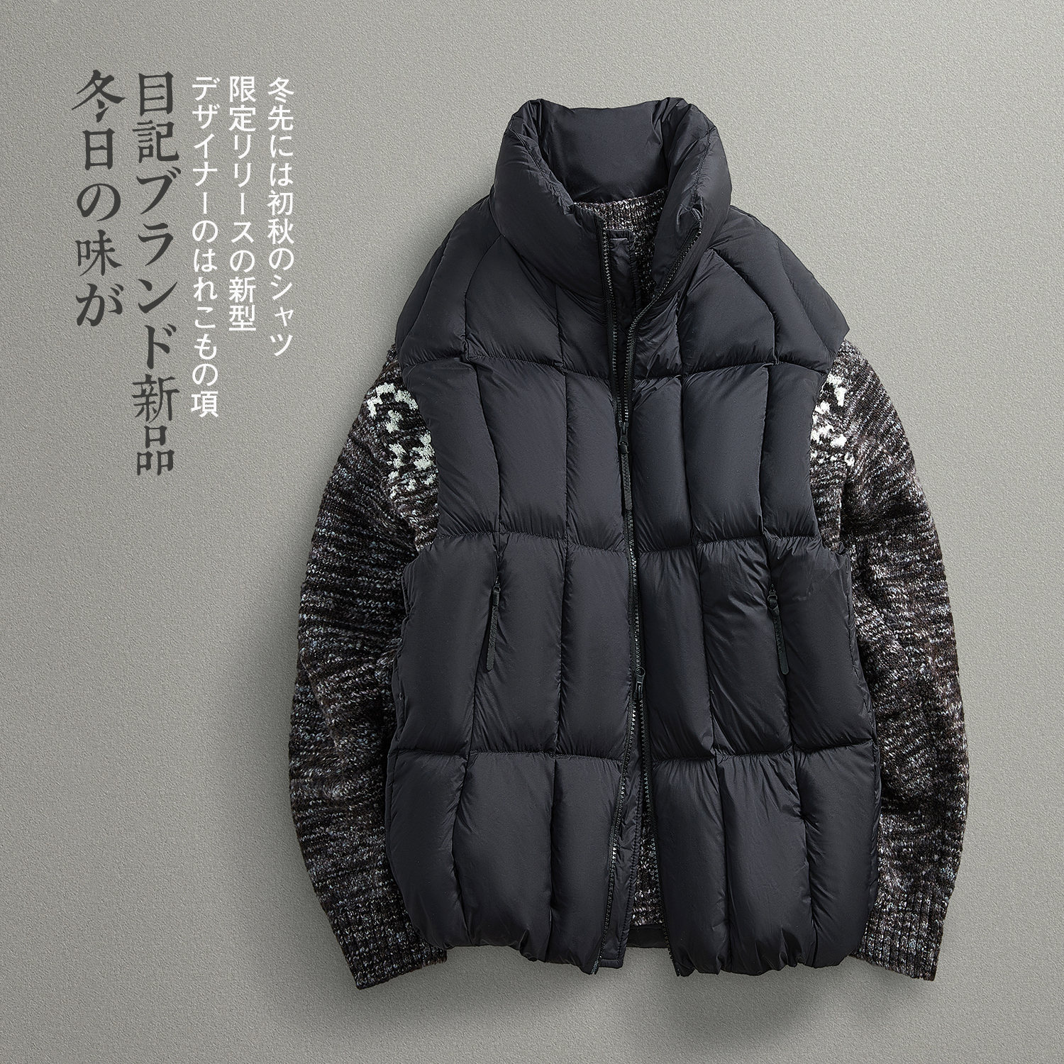 白鸭绒廓形立领羽绒服马甲背心男