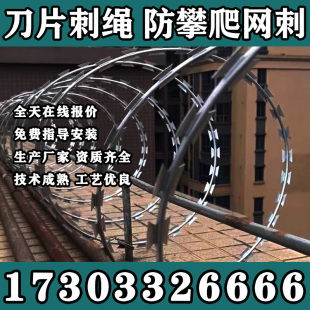 湖南刀片刺绳不锈钢刺丝滚笼刺网带刺铁丝防盗防爬刺防爬网防护网