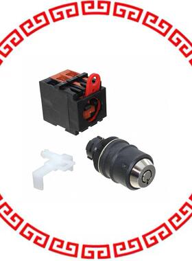 A22TK-2RR-12-01 SWITCH KEYLCK 2POS DPST 10A 110V