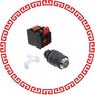 110V 2POS 2RR A22TK DPST KEYLCK SWITCH 10A