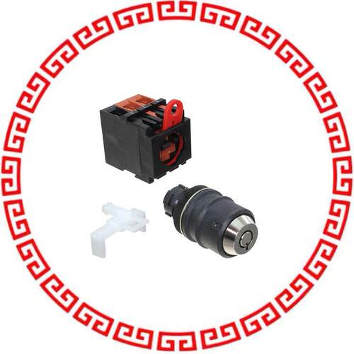 A22TK-2RR-12-01 SWITCH KEYLCK 2POS DPST 10A 110V