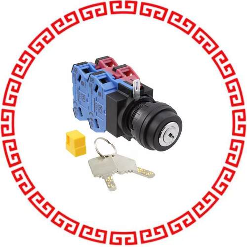 SG-D1-2B22 SWITCH KEYLCK 2POS 4PST 10A 110V