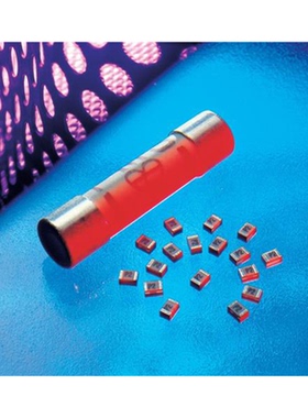 F0805B1R00FSTR《1A SMD》