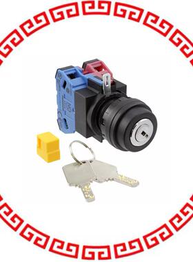 SG-D1-2A11 SWITCH KEYLCK 2POS DPST 10A 110V