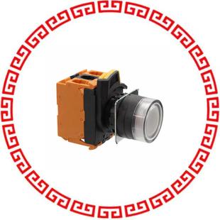 PUSH TWA 10A DPST SWITCH G202 BGA A22NL