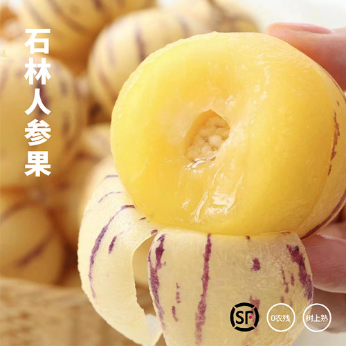 森即 云南石林 神果人参果/果汁炸弹 甘甜爆汁儿