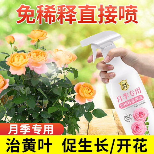 速发月季营肥料肥玫瑰花蔷薇促花花花开花月季爆花养液免稀释