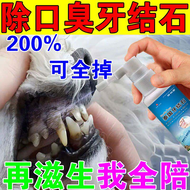 速发去牙结石臭神去除器清理狗软化剂工具泰迪狗祛牙结石口器喷雾