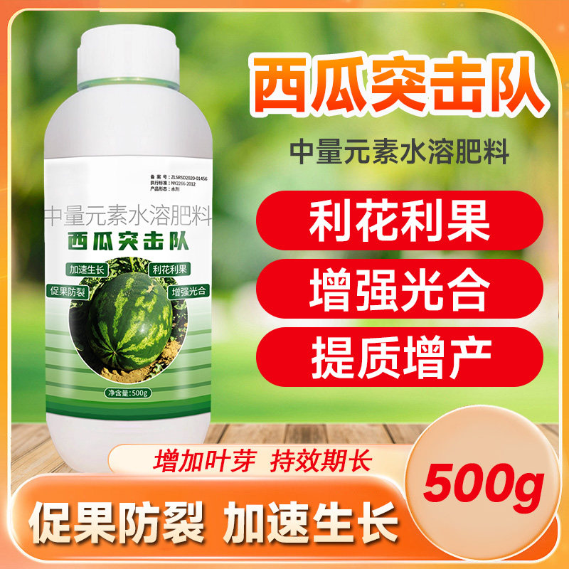 速发队瓜突击溶西瓜水西性肥增甜膨大剂促根壮苗抗病防裂果