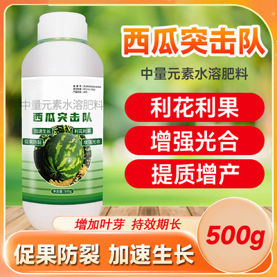 速发队瓜突击溶西瓜水西性肥增甜膨大剂促根壮苗抗病防裂果