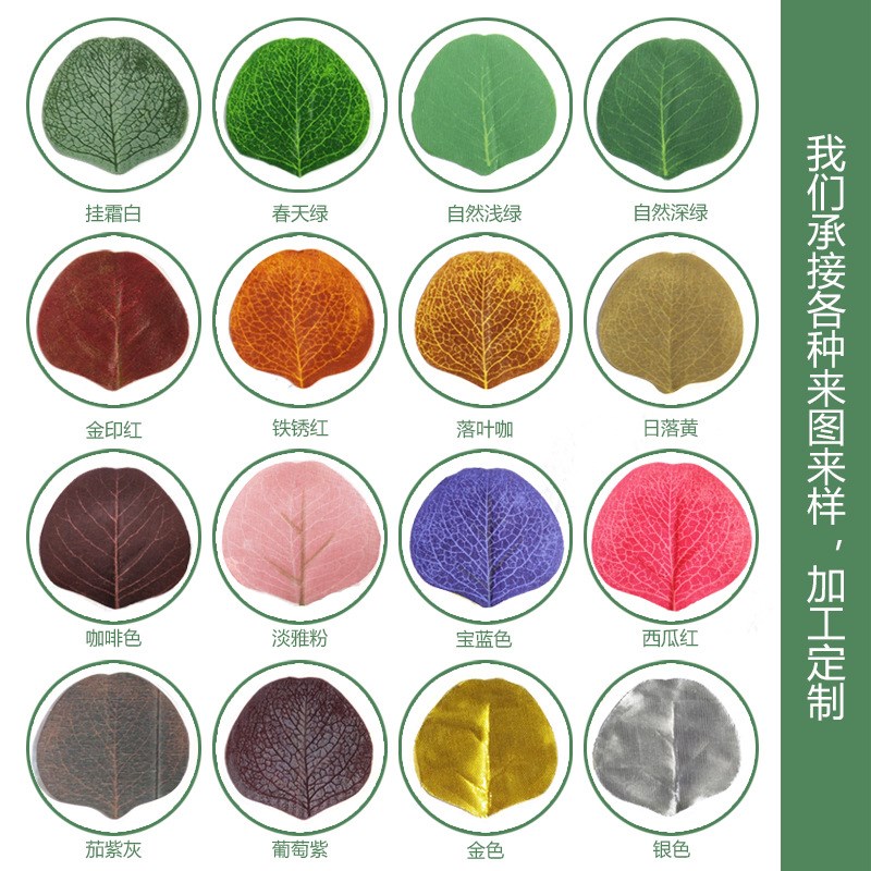 速发尤加利藤条 婚礼装饰布置树蔓绿色植物加密尤藤叶桉加利藤条