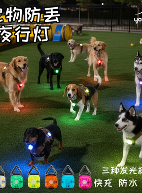 狗狗发光项圈宠物遛狗灯狗狗夜间照明灯大小型犬防走失夜间遛狗灯