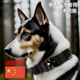 狗狗项圈防爆冲牵引绳中大型犬金毛马犬杜宾战术项圈猛犬脖圈脖套