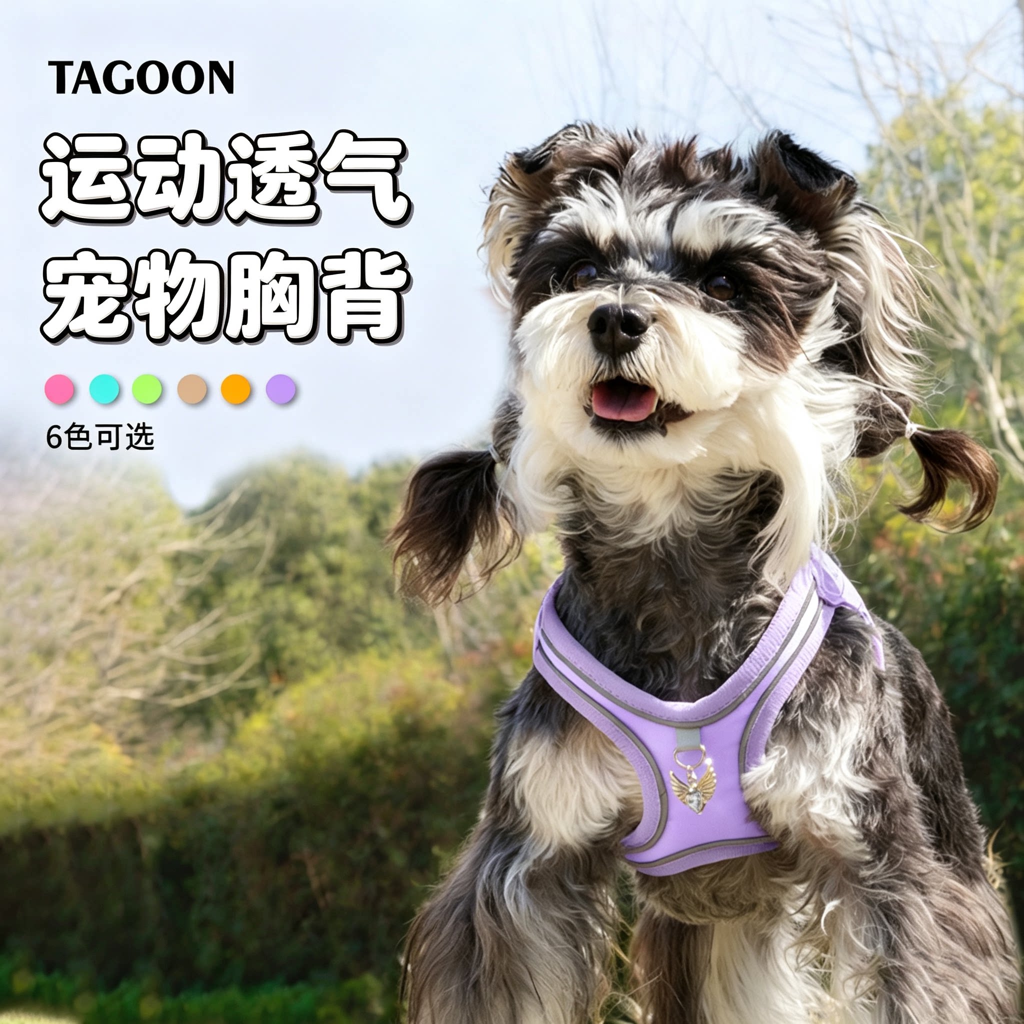 狗狗牵引绳背心式小型犬狗胸背带图片