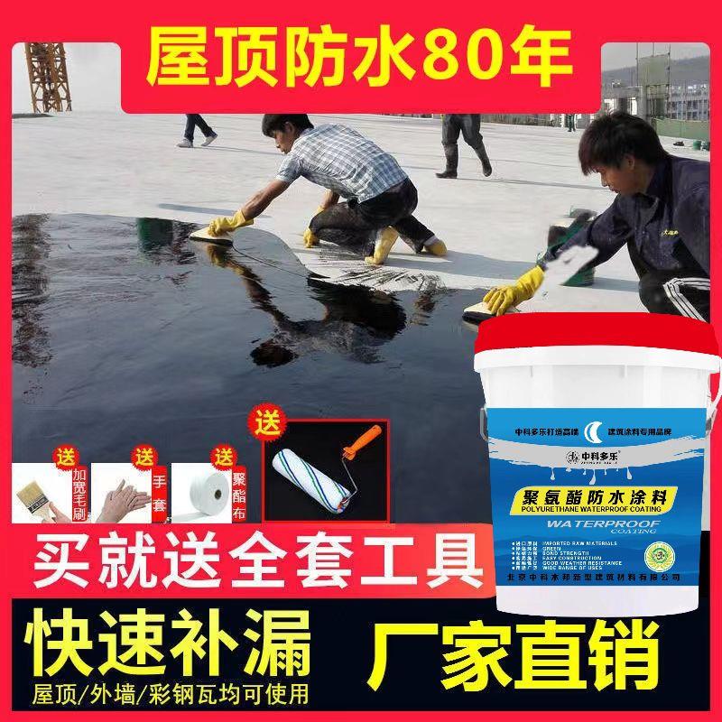 聚氨酯防水涂料补漏王屋