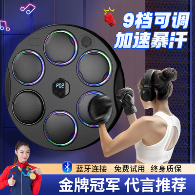 智能蓝牙音乐靶拳击沙袋室内打靶