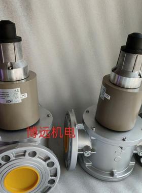 非标价SG80FS/220施能慢开电磁阀SG65FS/220 S议价