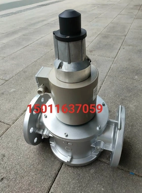 非标价SG80FS/220施能慢开电磁阀SG65FS/220议价