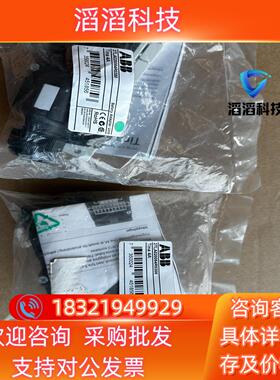 现货Tina 4A 货号2TLA020054R0300ABB机