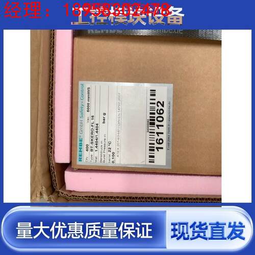 议价德国REMBE  膜片 爆破片REMBE，全新 - 封面
