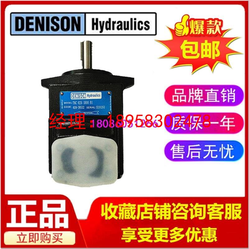 DENISON 丹尼逊 T6E 062/066/072/085 1L00/1L01/1L02/1L03 A全新