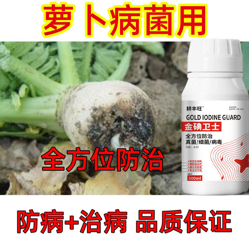 萝卜病专用药黑斑病根腐病软腐病红白萝卜病害用药萝卜专用杀菌剂