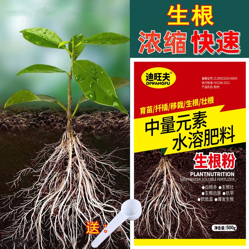 迪旺夫快速生根粉植物通用生根剂