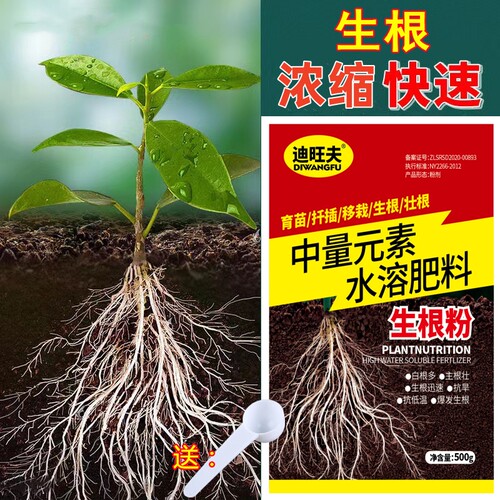 迪旺夫快速生根粉植物通用生根剂