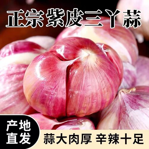 新鲜大理三丫蒜云南紫皮大蒜三瓣蒜干蒜头独头蒜同味农家自种疏菜