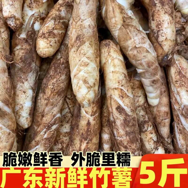 正宗广东新鲜竹薯5斤当季采挖冬粉薯竹芋脆嫩粉薯农家自种整箱
