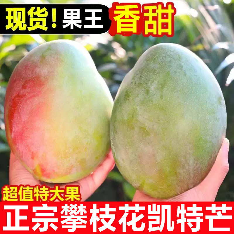 正宗攀枝花凯特大甜芒果5斤新鲜水果当季整箱现摘青皮大芒果9