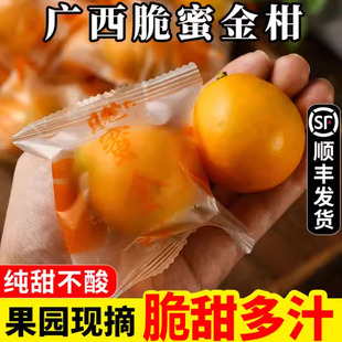 顺丰发货脆蜜金柑第三代大金桔应季水果纯甜新鲜现摘广西柳州融安