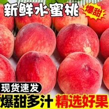 水蜜桃5斤桃子水果新鲜当季整箱应季脆桃现摘水果毛桃现季10超甜